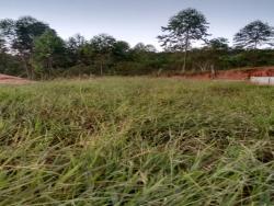 Imóveis à venda em Atibaia SP Imóvel em Atibaia