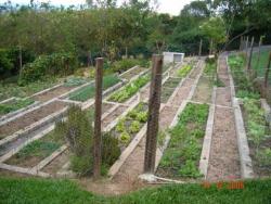 Chácara para Venda em Jarinu - 3