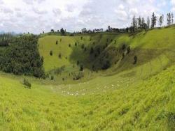 Fazenda para Venda em Itajubá - 2