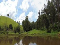Fazenda para Venda em Itajubá - 3