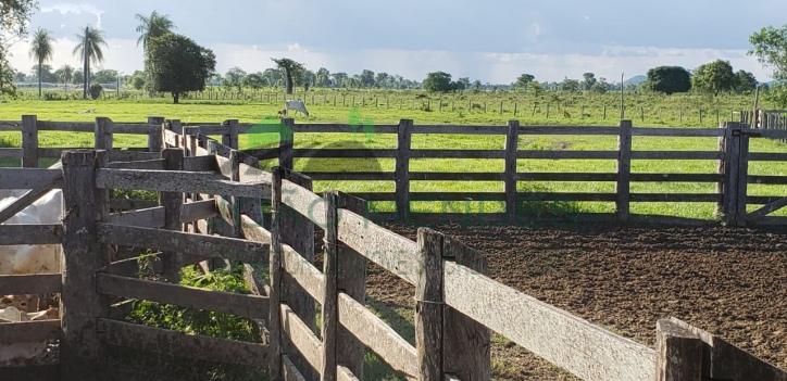 Fazenda em Venda em Centro Porto Murtinho